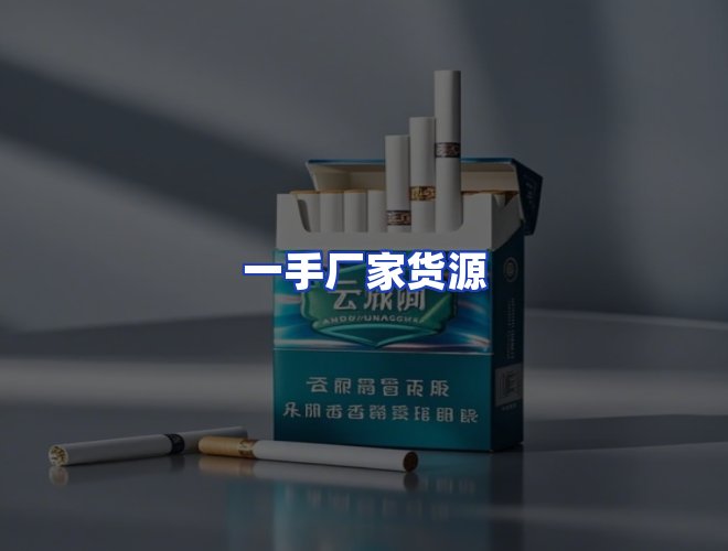 专业团队
